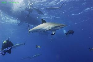 phoca_thumb_m_image046 Zdjęcia