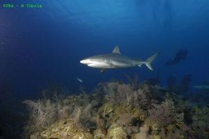 phoca_thumb_m_image048 Zdjęcia