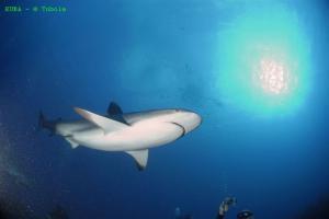 phoca_thumb_m_image051 Zdjęcia