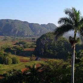 vinales3v