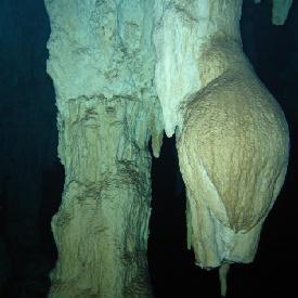 gran cenote5V
