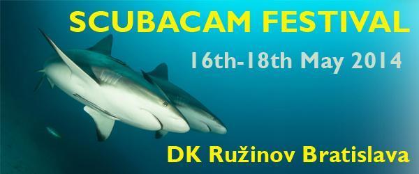 Come toghether...to meet each other to watch diving movies, to talk, to drink a tot of rhum...