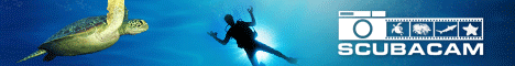 Come toghether...to meet each other to watch diving movies, to talk, to drink a tot of rhum...